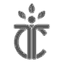 Therapy Care Logo